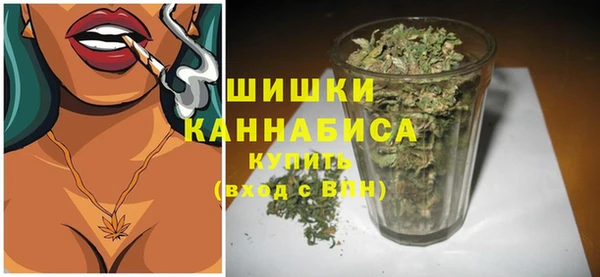 спайс Баксан