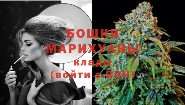 PSILOCYBIN Балахна