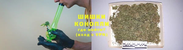 PSILOCYBIN Балахна