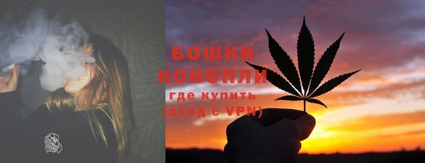 PSILOCYBIN Балахна