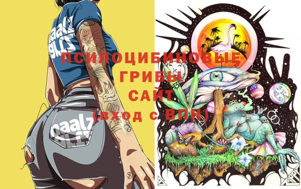 крисы Белоозёрский
