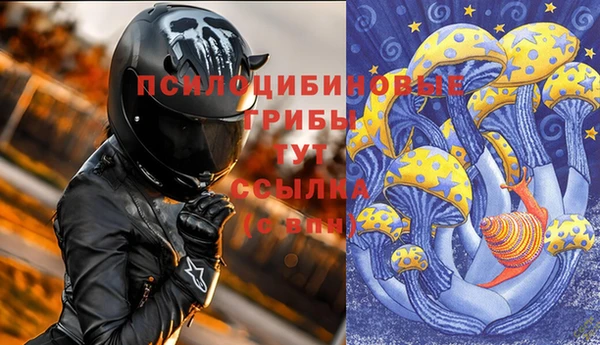 крисы Белоозёрский