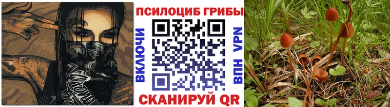 Галлюциногенные грибы мухоморы  Калининец 